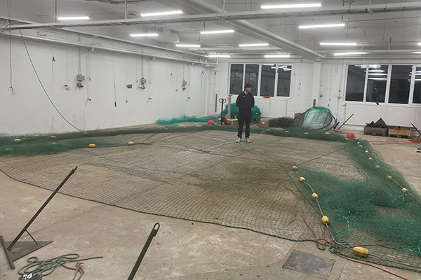 Ryssja utlagd på stort golv inomhus.