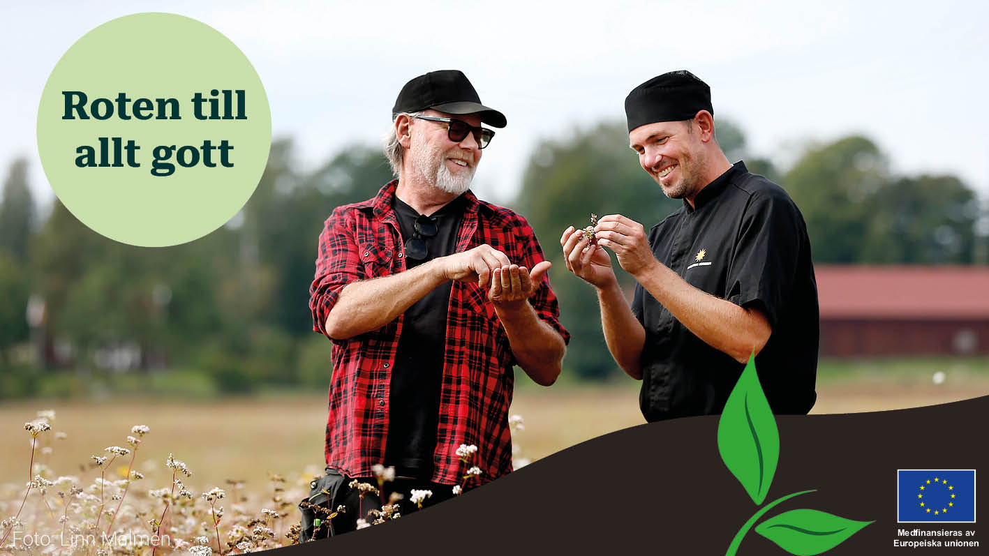 Bild på braxen med loggan för artikelserien ovanpå.