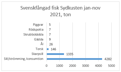 Diagram över svenskfångad fisk vid sydkusten januari-november 2021.
