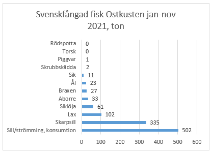 Diagram över svenskfångad fisk vid ostkusten januari-november 2021.