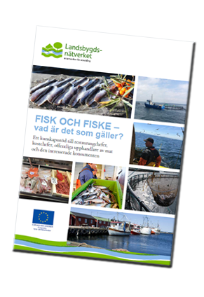Framsida fiskeskrift