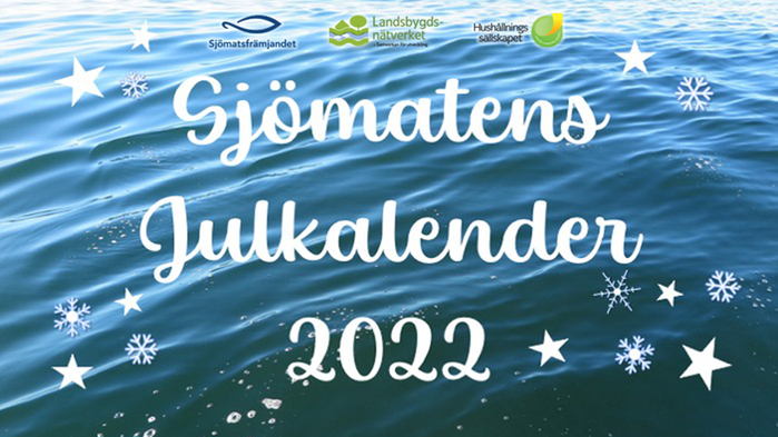 Vattenyta med texten Sjömatens julkalender 2022 ovanpå.