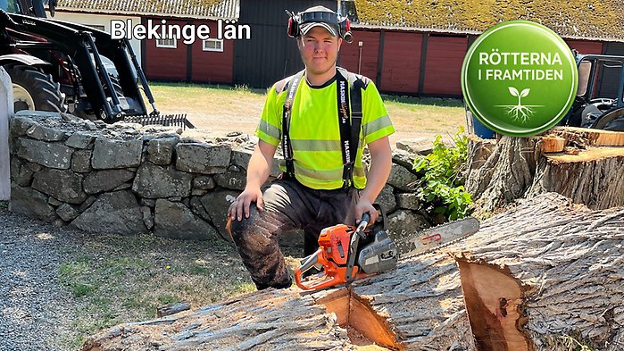 Karl Pettersson, 20, vid ett stort fällt träd