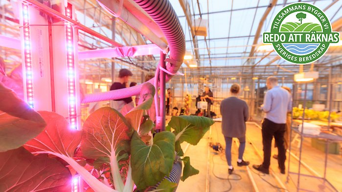 Bild på braxen med loggan för artikelserien ovanpå.