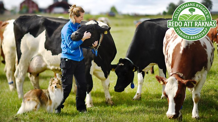 Bild på braxen med loggan för artikelserien ovanpå.
