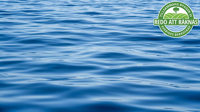 Bild på braxen med loggan för artikelserien ovanpå.