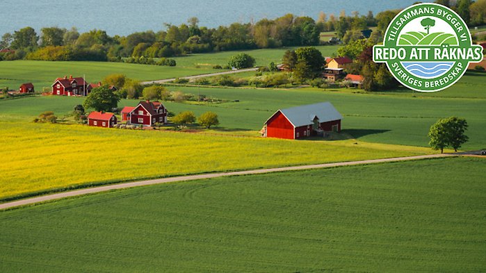 Bild på braxen med loggan för artikelserien ovanpå.