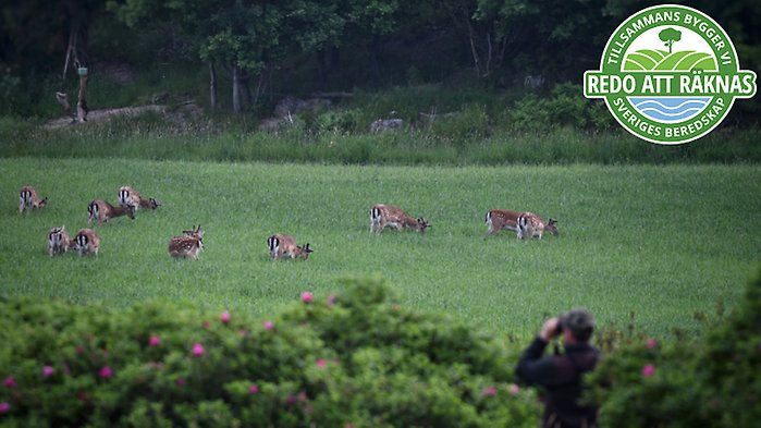 Man som håller fram en lax samt loggan för artikelserien ovanpå.
