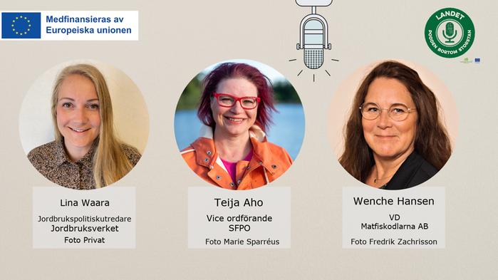 Bild på braxen med loggan för artikelserien ovanpå.