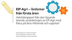Rapport EIP-Agri - lärdomar från första åren