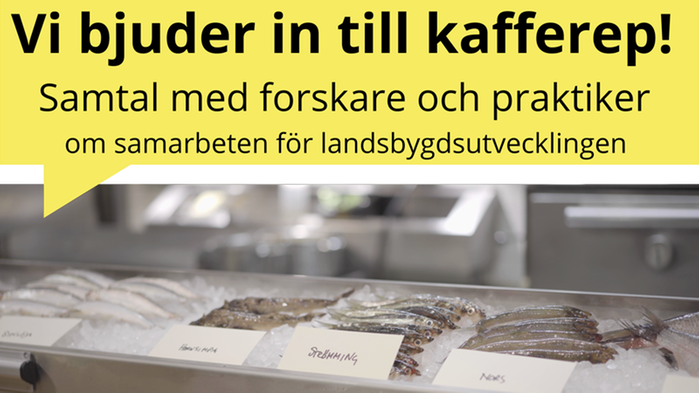 Collage bild på fiskdisk samt rubrikens text.