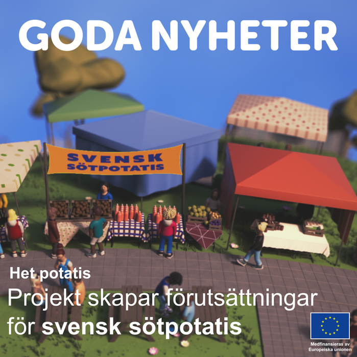 Marknadsstånd med texten "svensk sötpotatis".