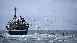 Fiskebåt på vatten.
