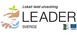Leader_Sverige_437