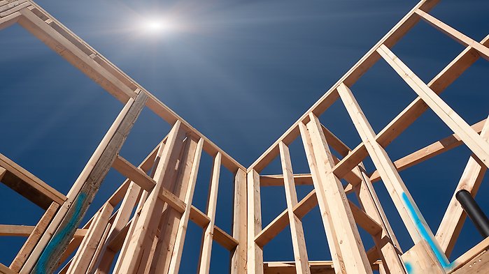 Foto över en trästomme. Vinkeln är nerifrån upp mot en blå himmel.