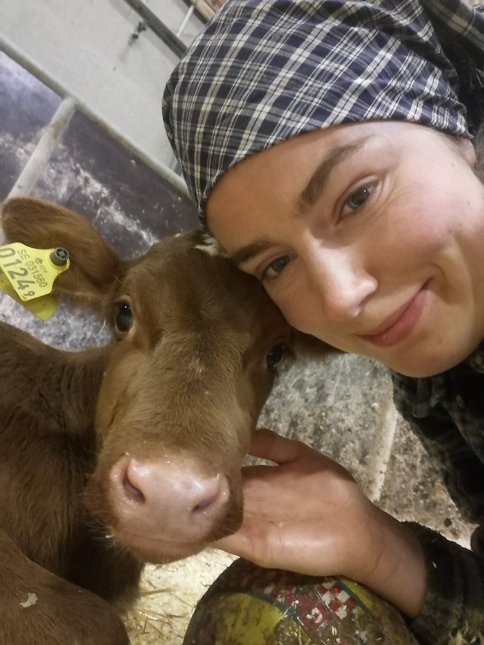 Lisa Valleräng med kalven Önska 