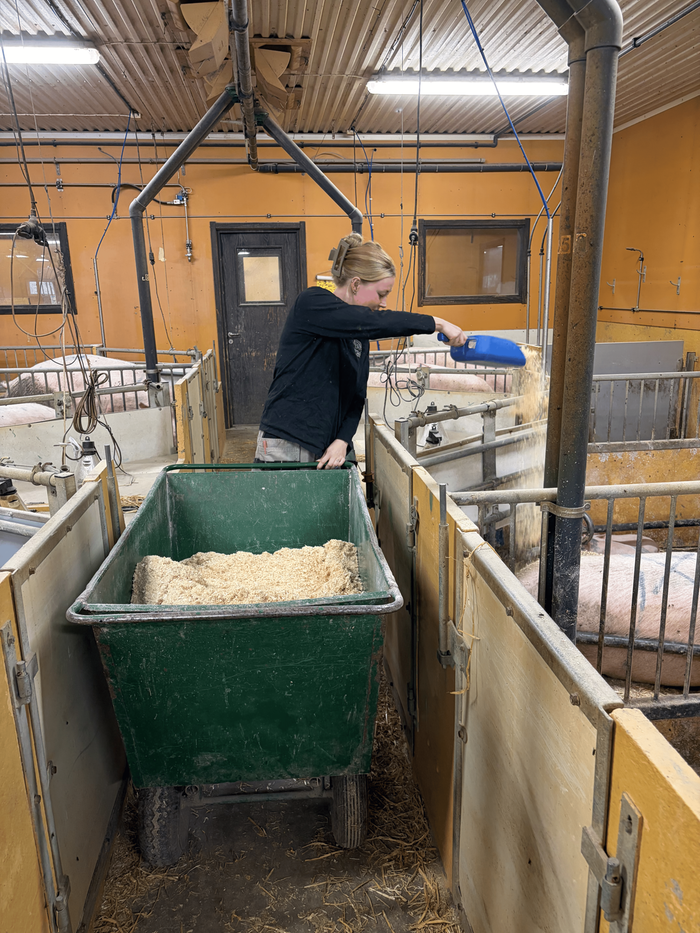 Katarina Nykvist matar sin besättning