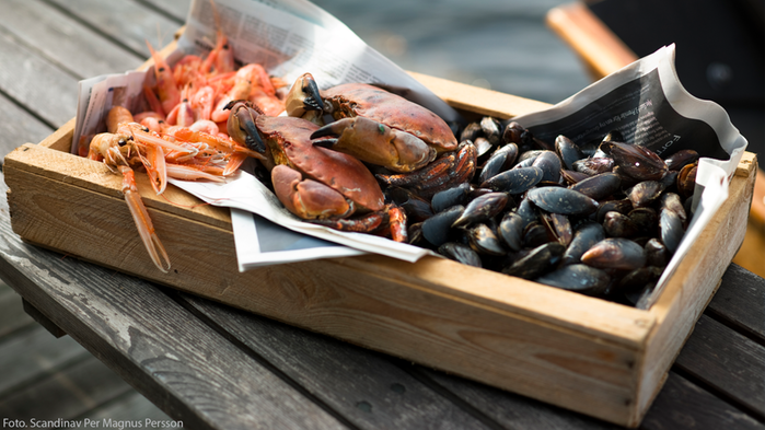 En trälåda med sjömat som krabba, räkor och musslor. I bakgrunden syns havet glittra.