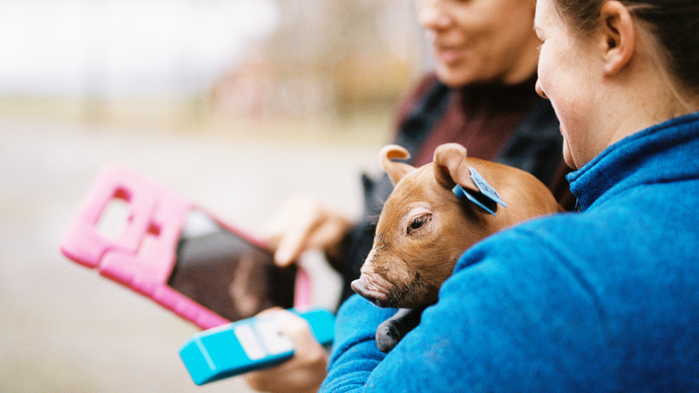 En rådgivare och en lantbrukare pratar och den sistnämnda håller i en spädgris