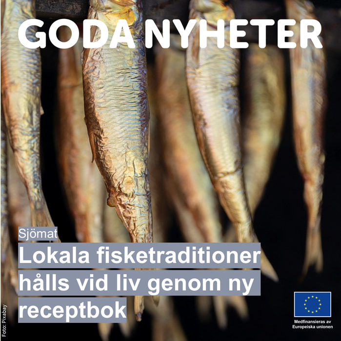 Bild på rökt fisk. Text: Lokala fisketraditioner hålls vid liv genom ny receptbok.