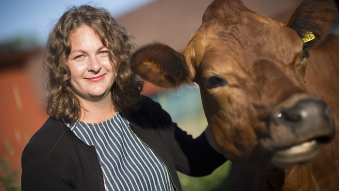 Elina Matsdotter från Svenskt kött står i solskenet tillsammans med en brun ko