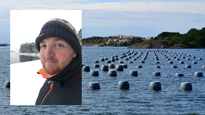 Närbild på Sebastiaan inklippt ovanpå bild på musselodling.