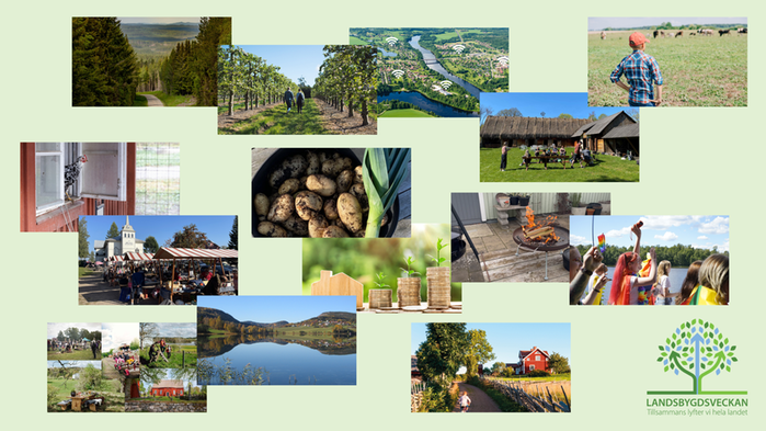 Collage med bilder på olika aktiviteter under veckan.